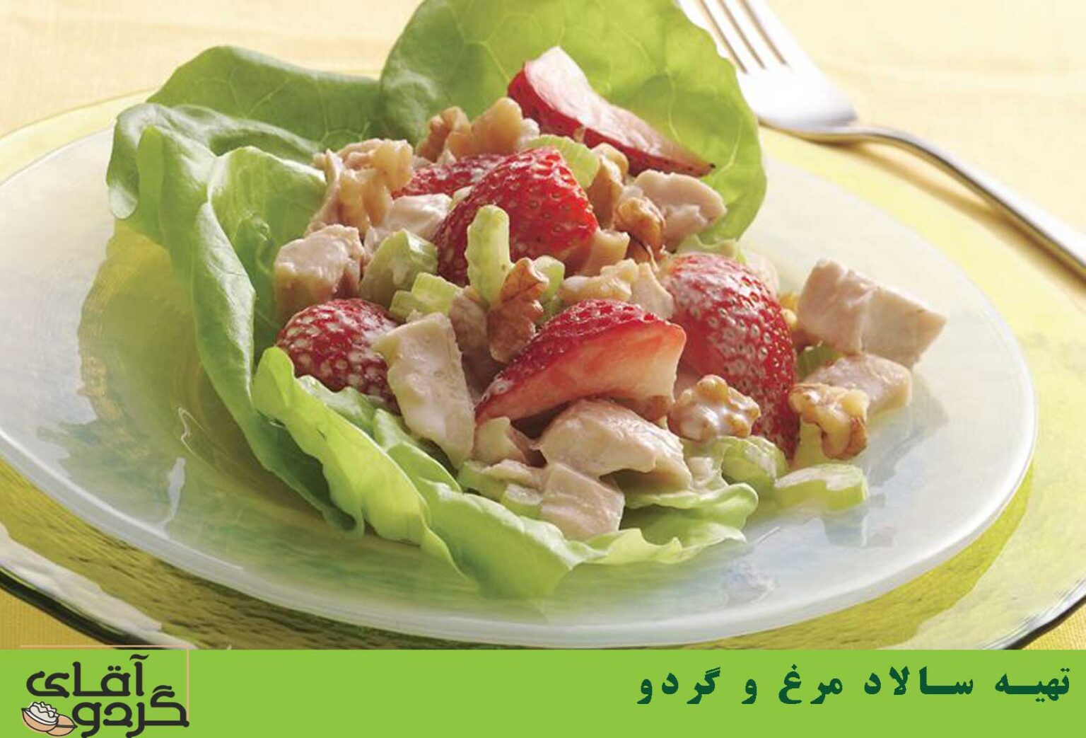 تهیه سالاد مرغ و گردو