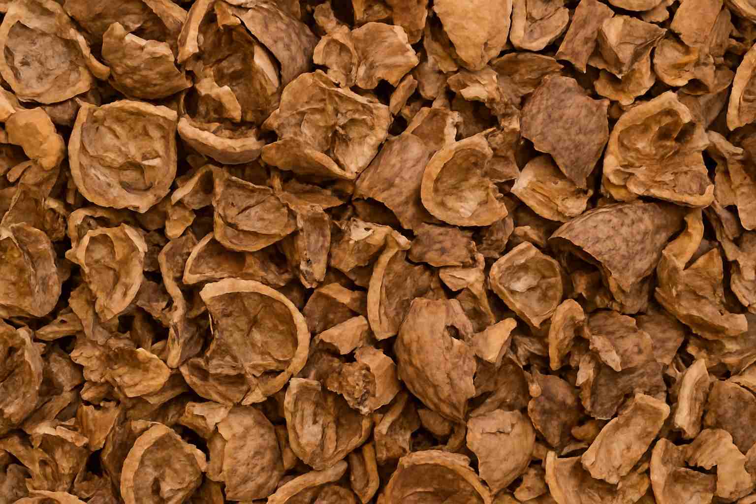 پوست چوبی گردو