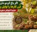مراقبت از درخت گردو در پاییز