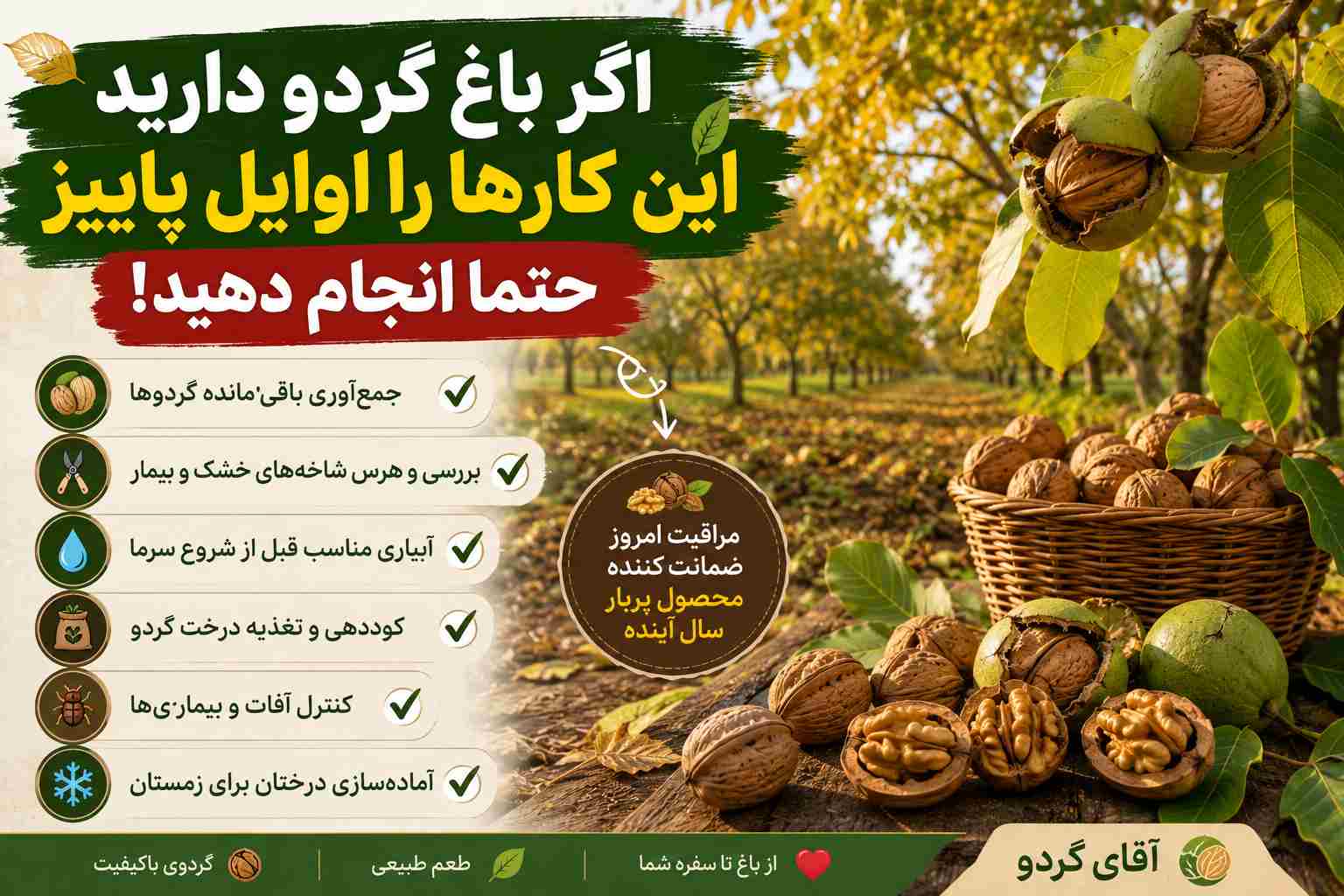 مراقبت از درخت گردو در پاییز