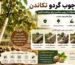 ساختن چوب گردو تکاندن