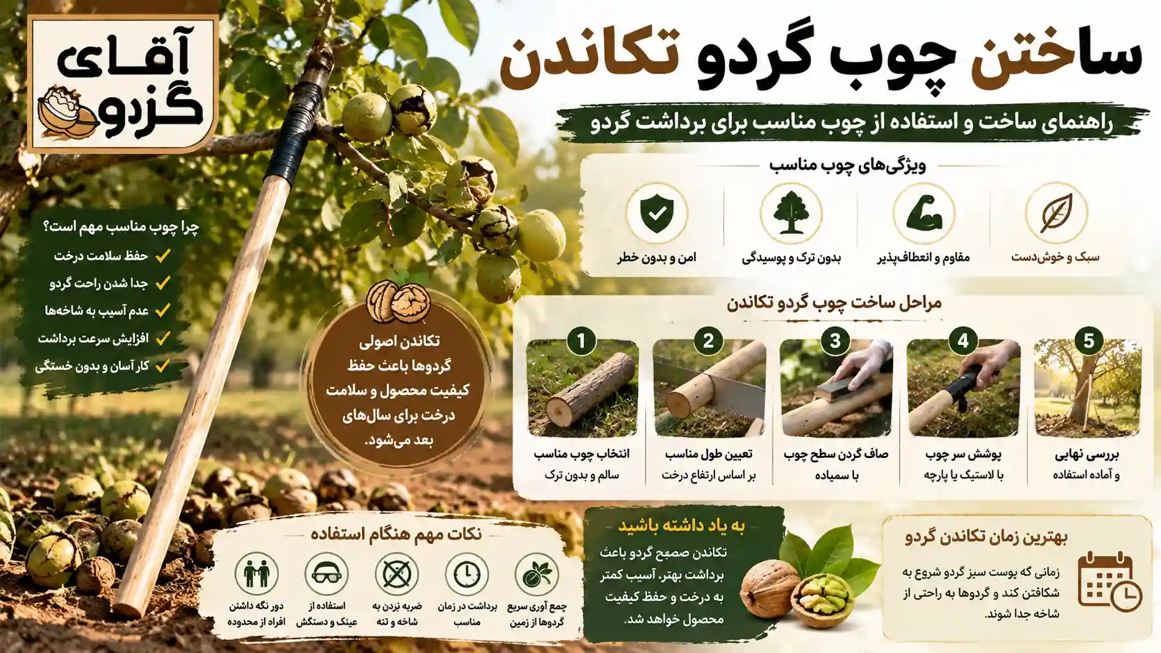 ساختن چوب گردو تکاندن