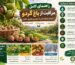 مراقبت از باغ گردو
