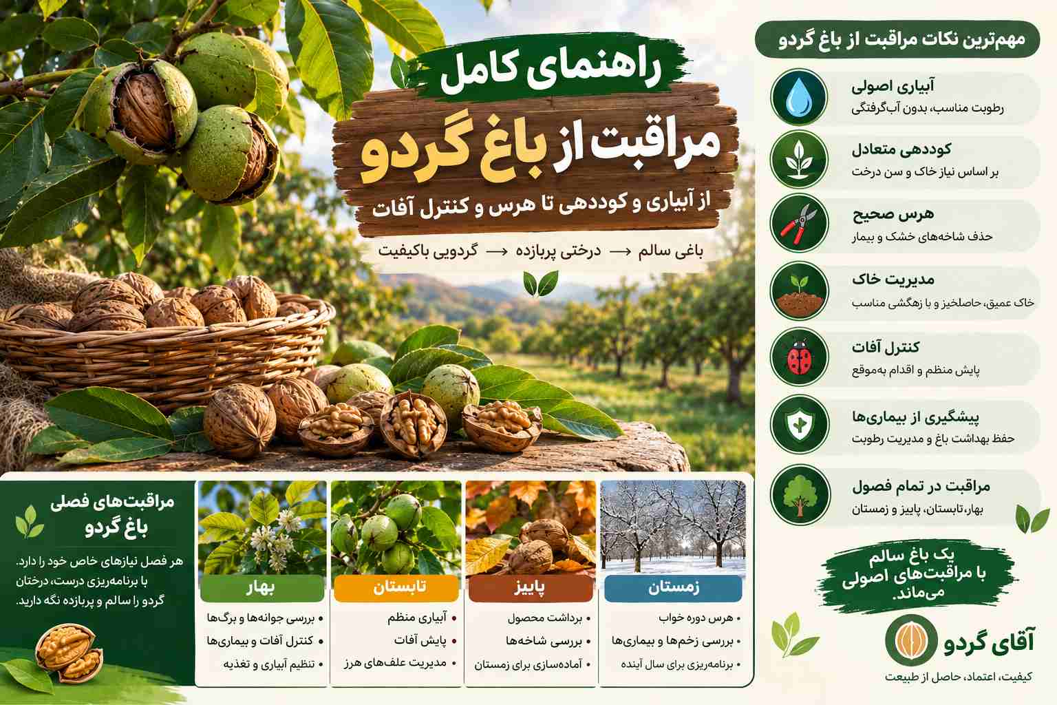 مراقبت از باغ گردو