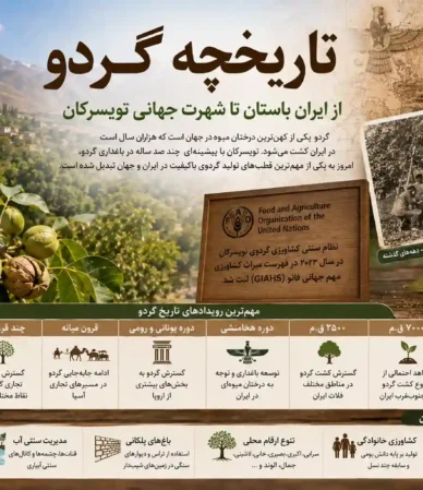تاریخچه گردو