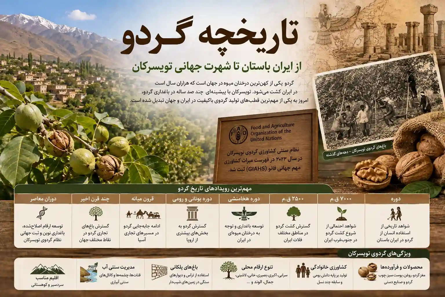تاریخچه گردو